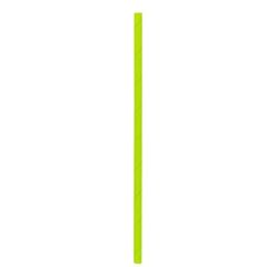 RWA0395 Biodegradable Lime Paper Straw  - 6mm W x 7 3/4" L (Pack of 100)