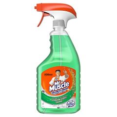 Mr Muscle Advanced Power Glass Cleaner - Fresh - 750ml