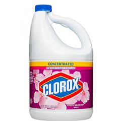 Clorox Concentrated Liquid Bleach - Fresh Meadow - 1 Gallon