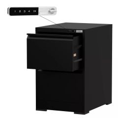 Godrej 2 Drawer Digital Filing Cabinet with Touch Screen Lock, Black