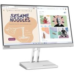 Lenovo L22e-40 21.5" FHD Monitor