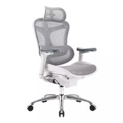 Sihoo High Back Ergonomic Mesh Chair with 3D Adjustable Headrest