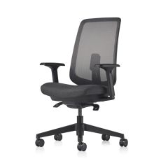 Herman Miller Verus Chair Standard Height Range Adjustable Task Chair