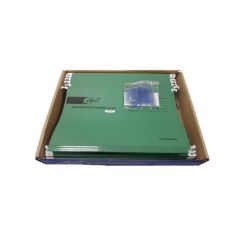 Elfen 907 Suspension File Folder - F/S Size , Dark Green (Box of 50)